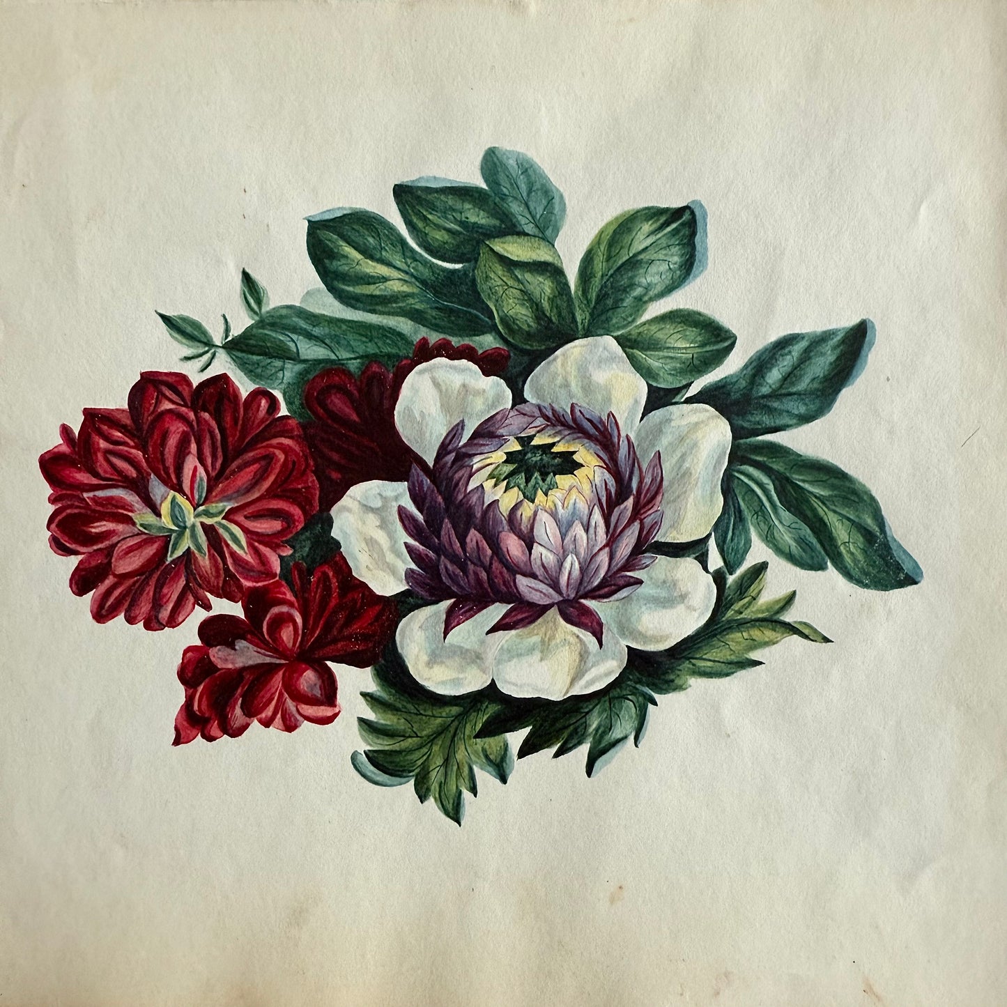 Antique 1845 Peonies Watercolor and Gouache illustration of flowers on a textured beige background