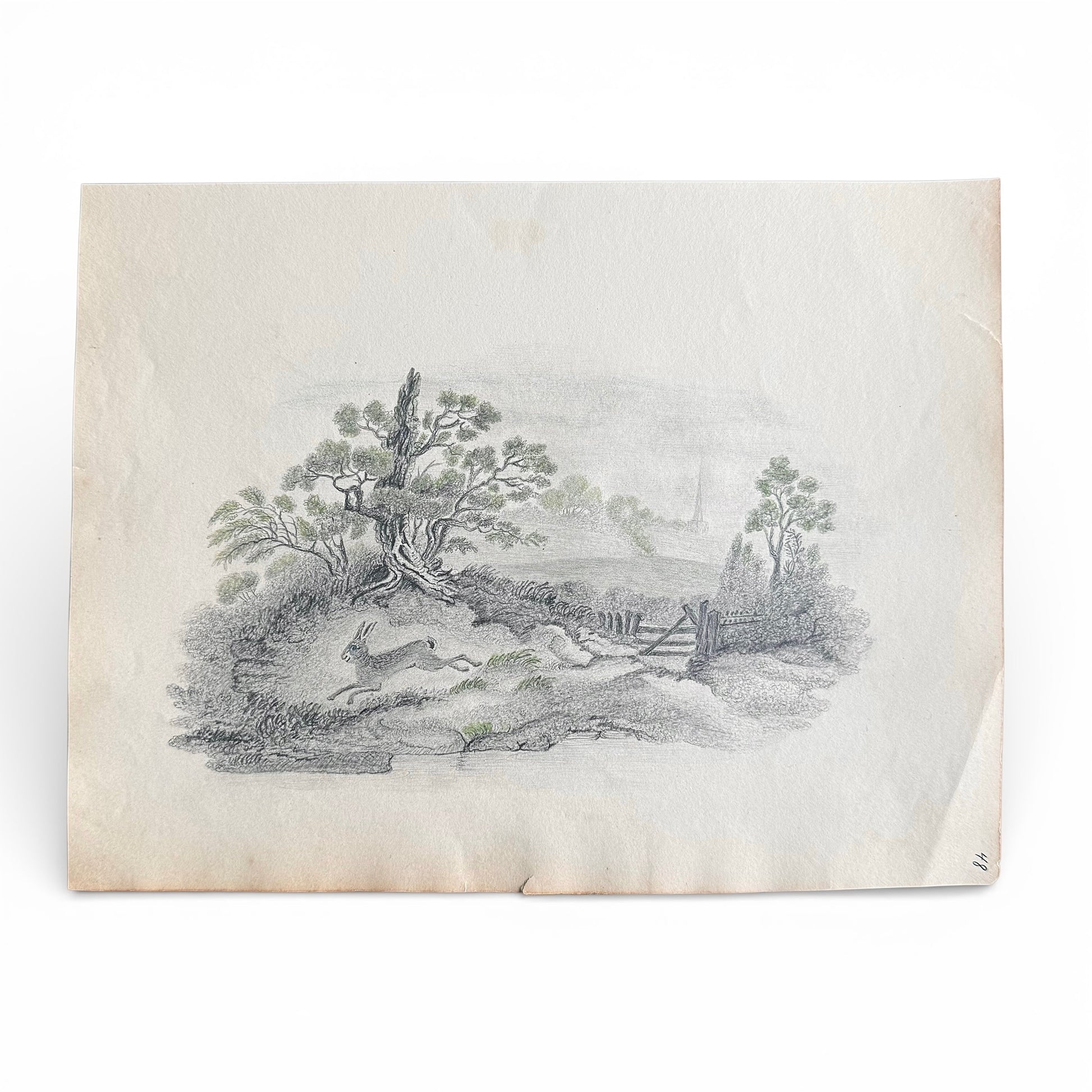 1830s Hare On the Run - Graphite and Color Vintage illustration of a landscape with trees and hare on a textured paper background