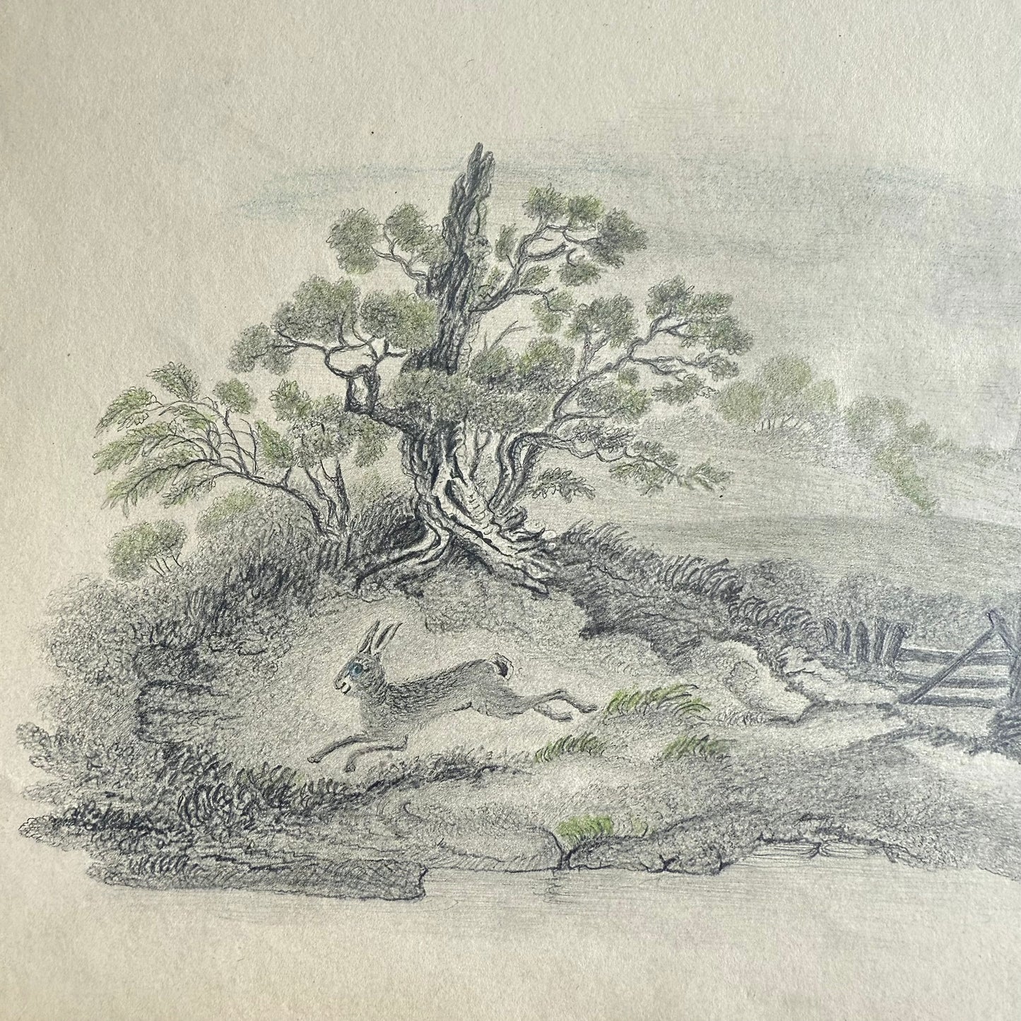 1830s Hare On the Run - Graphite and Color Vintage illustration of a rabbit running through a forest with trees and a fence in the background.