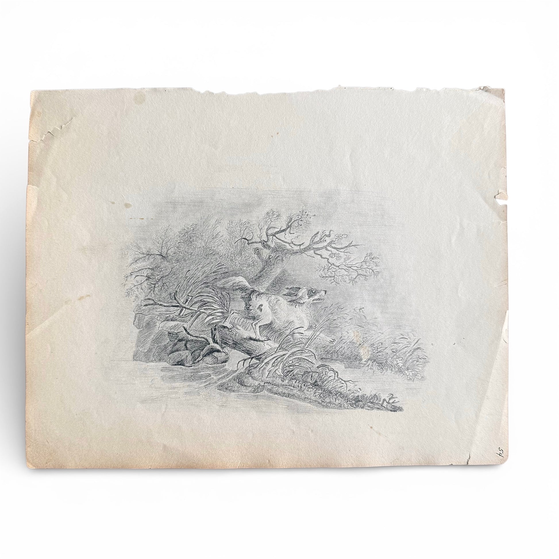 1830s Spaniel On The Hunt - Graphite a dog leaping over a log to fetch a bird that is being hunted