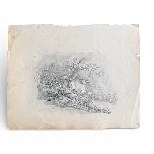 1830s Spaniel On The Hunt - Graphite a dog leaping over a log to fetch a bird that is being hunted