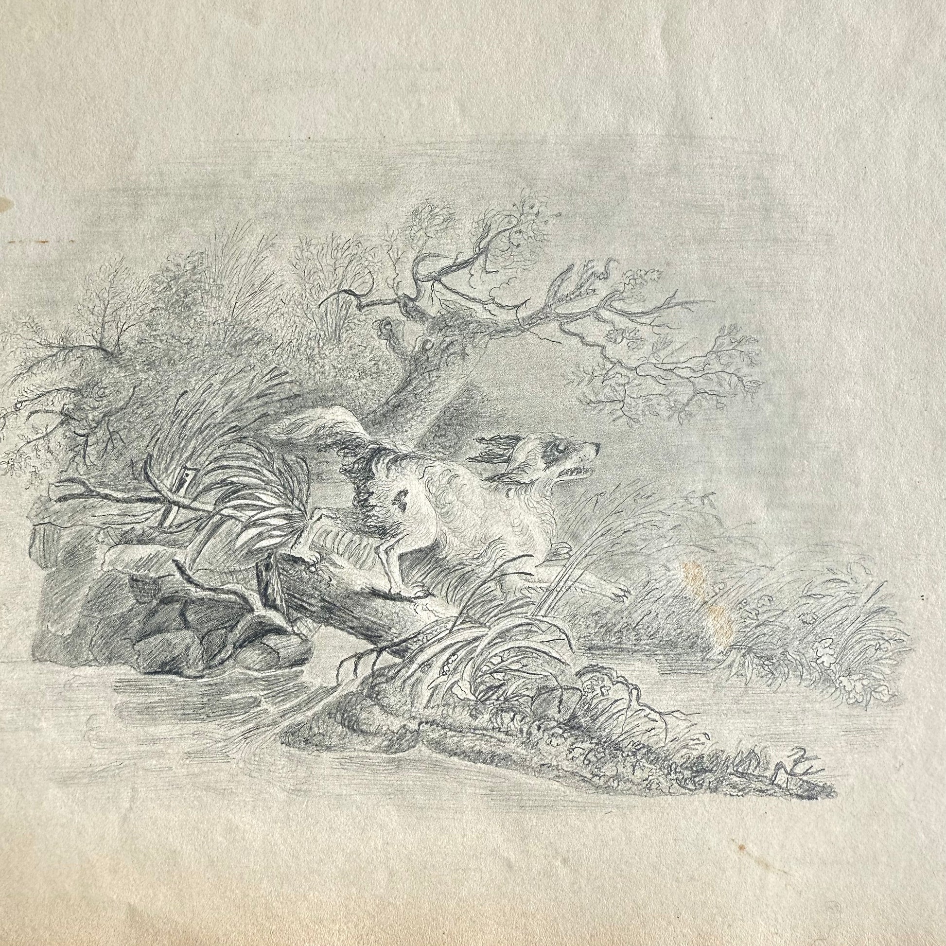 1830s Spaniel On The Hunt - Graphite a dog leaping over a log in the woods