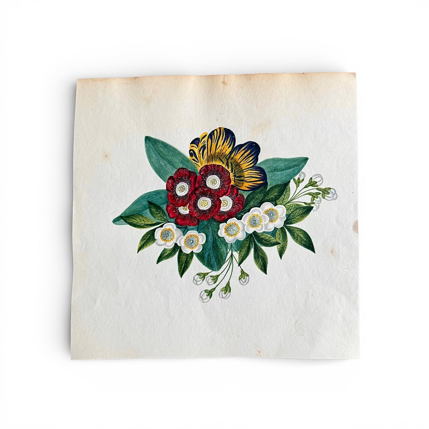 1845 Floral Watercolor and Gouache Floral design on a textured white background