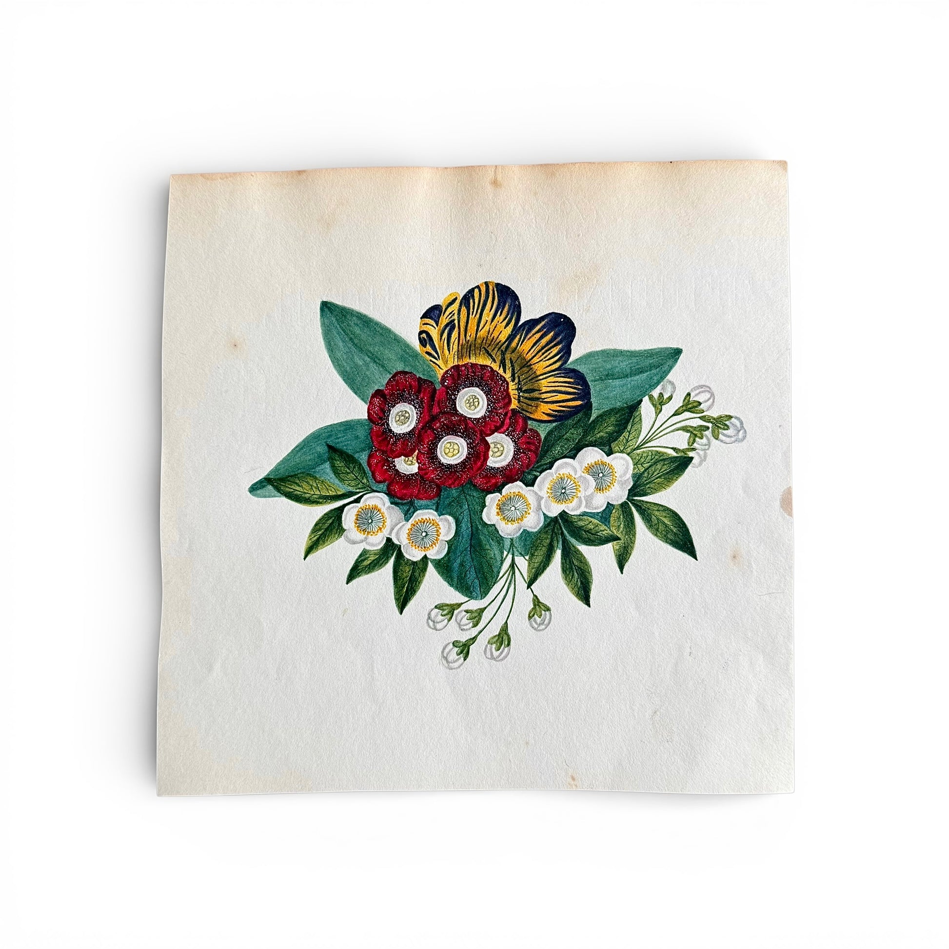 1845 Floral Watercolor and Gouache Floral design on a textured white background