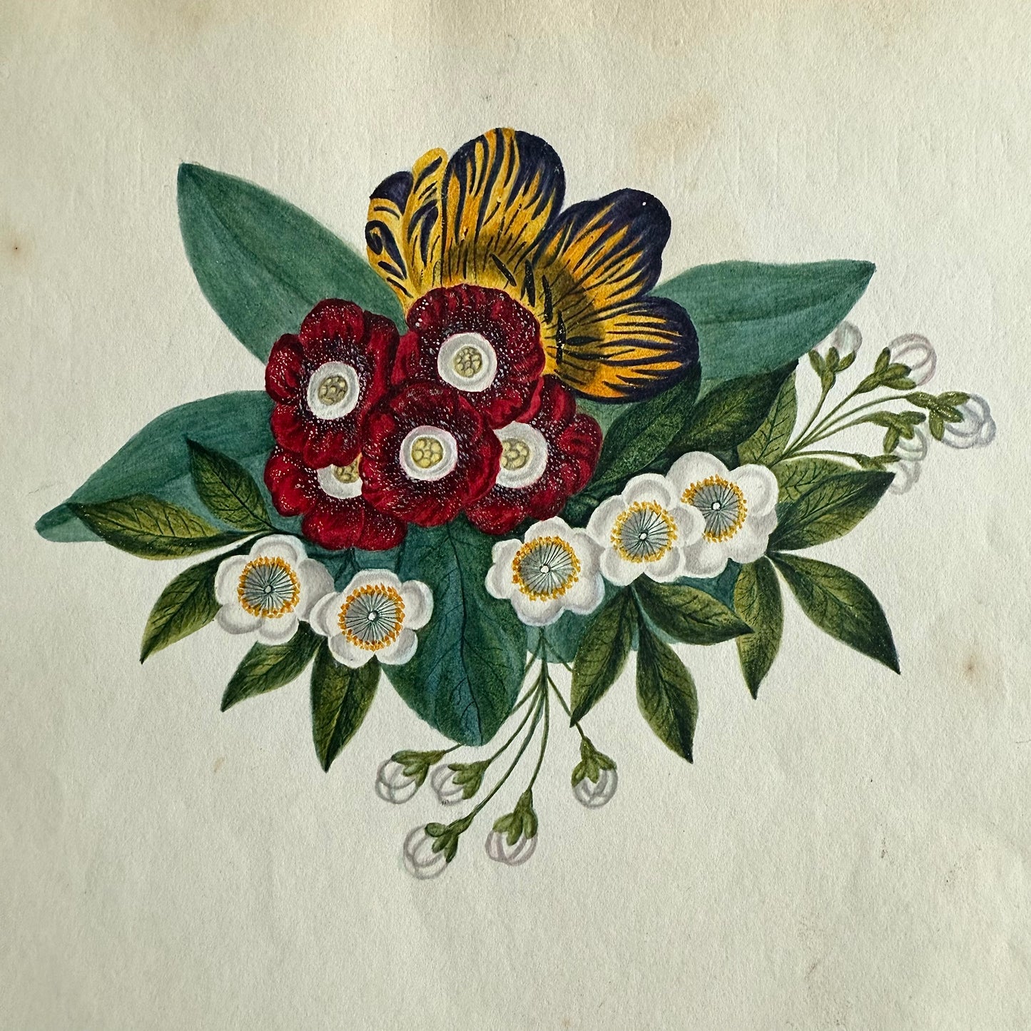 1845 Floral Watercolor and Gouache Decorative arrangement of flowers with red, yellow, and white blossoms on a textured beige background.