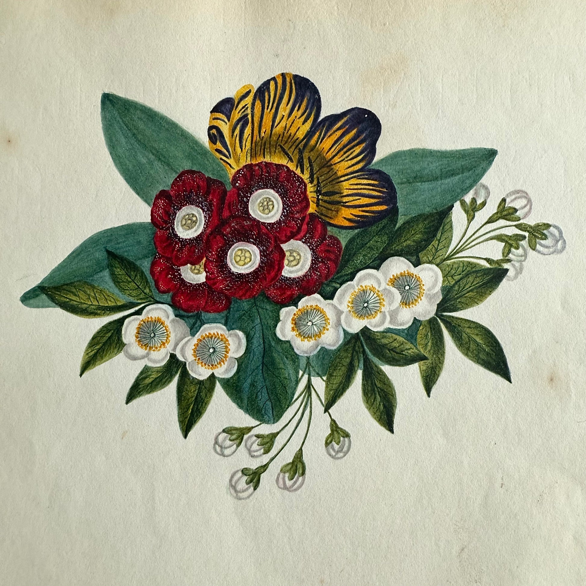 1845 Floral Watercolor and Gouache Decorative arrangement of flowers with red, yellow, and white blossoms on a textured beige background.