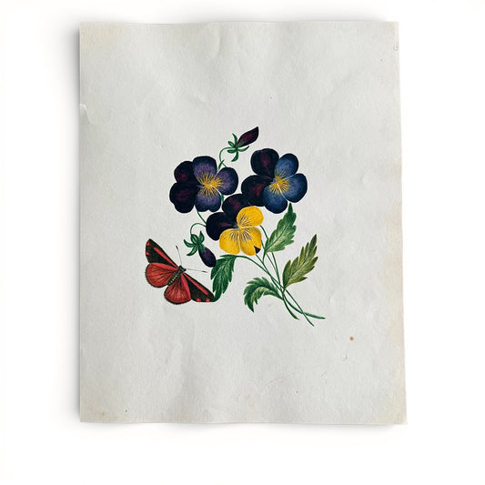 1845 Pansies + Butterfly Watercolor and Gouache Illustration of flowers and a butterfly on a textured white background