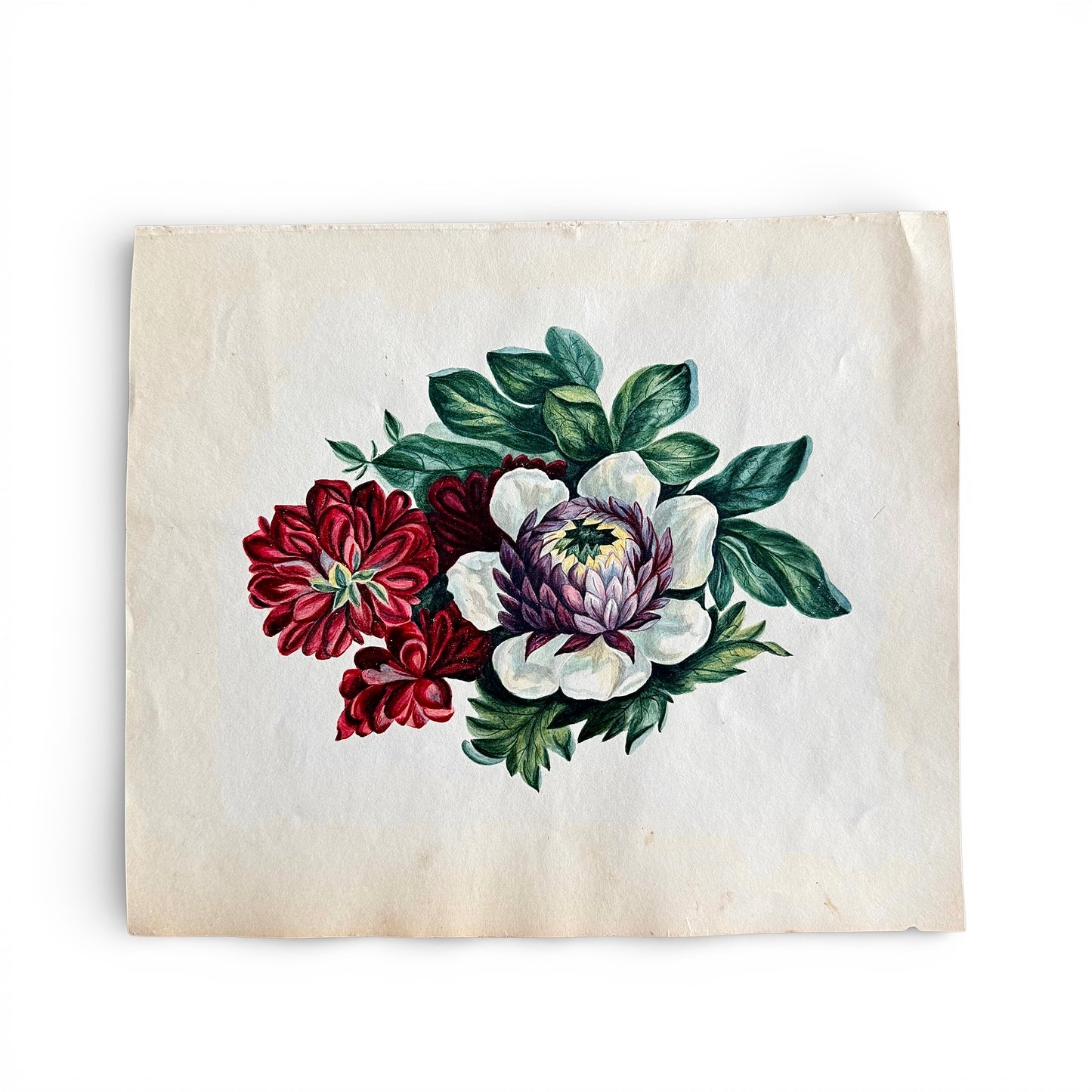 Antique 1845 Peonies Watercolor and Gouache illustration of flowers on a textured beige background