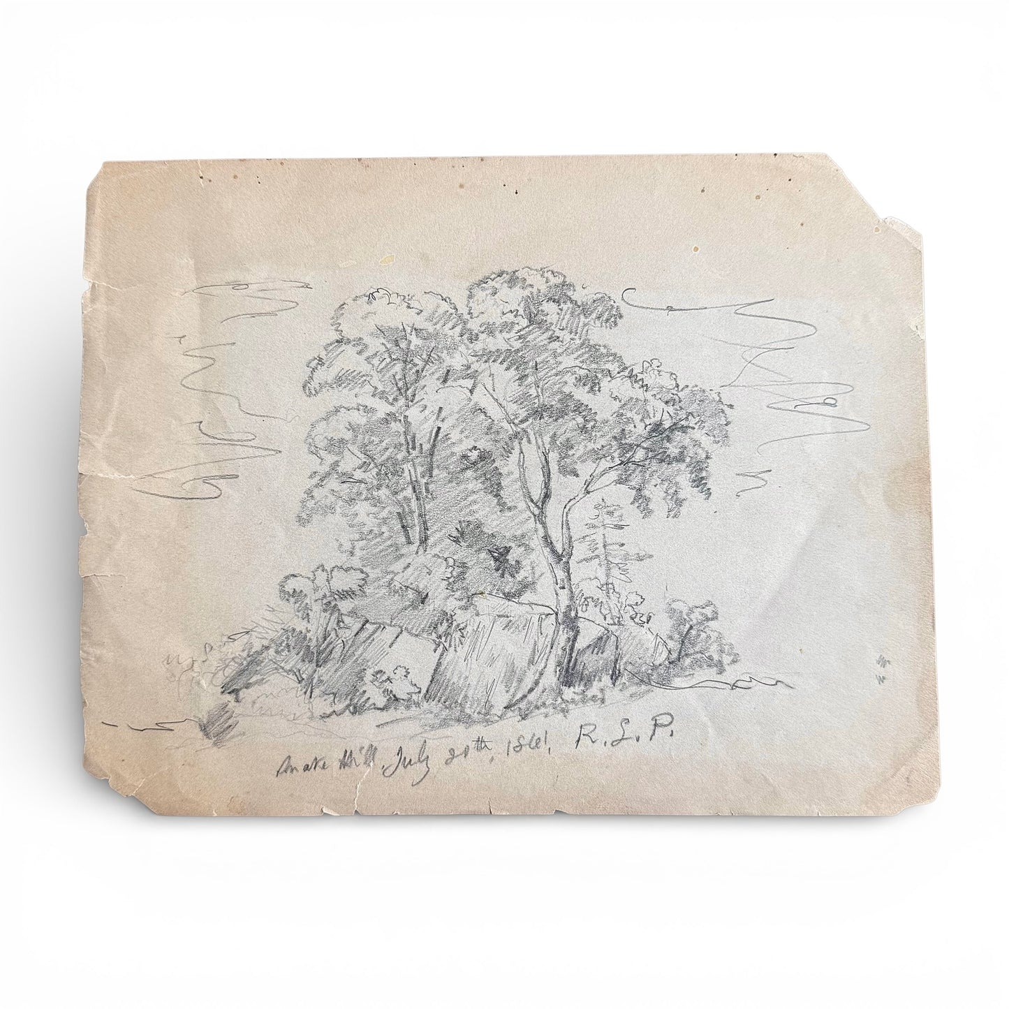 1861 Snake Hill Pencil Sketch of trees on a textured paper background