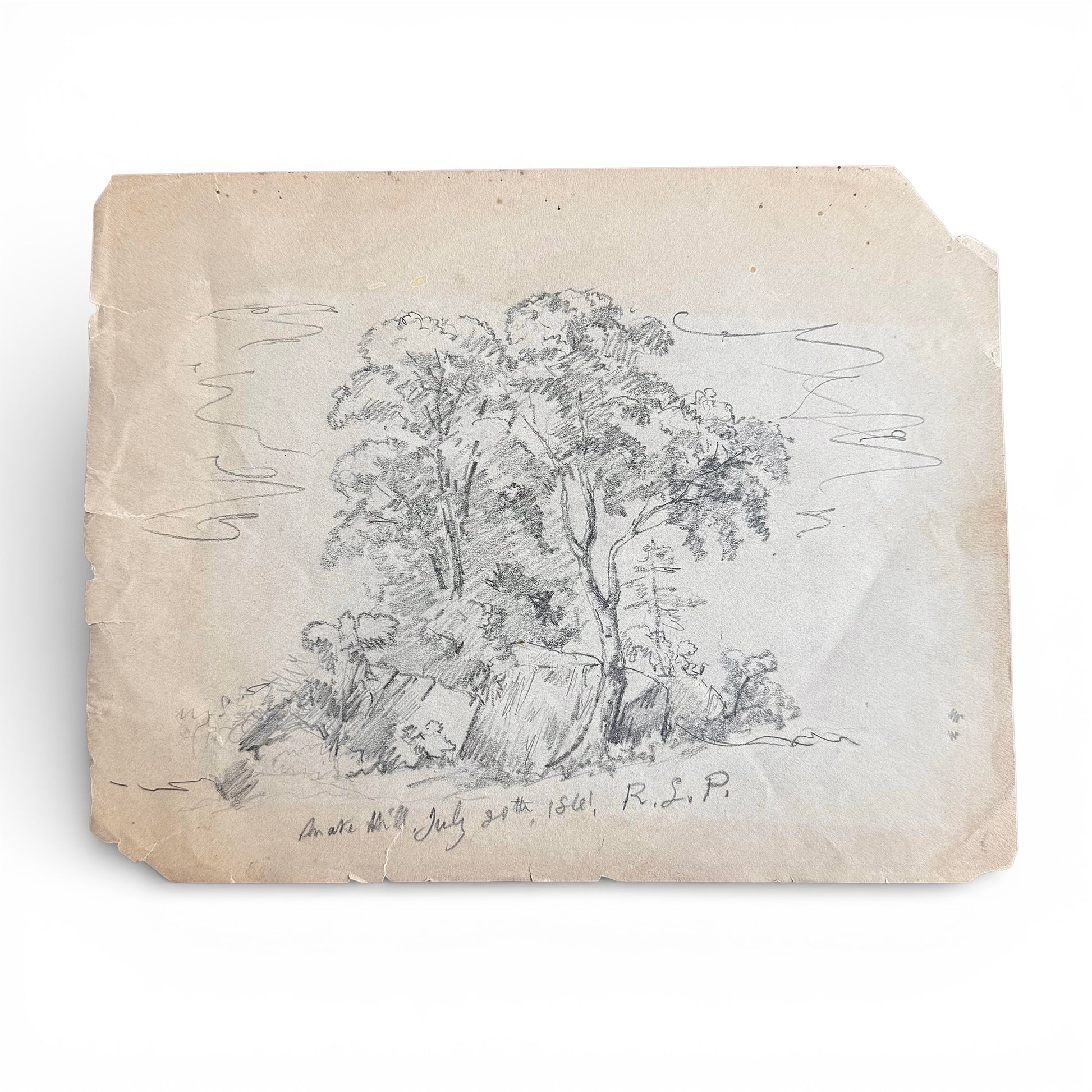1861 Snake Hill Pencil Sketch of trees on a textured paper background
