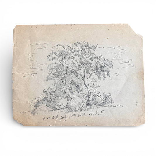 1861 Snake Hill Pencil Sketch of trees on a textured paper background