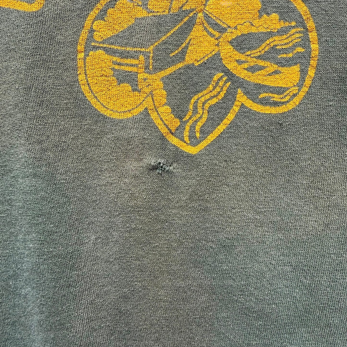 1950/1960s Camp Widjwagan (YMCA) Short Sleeve Sweatshirt