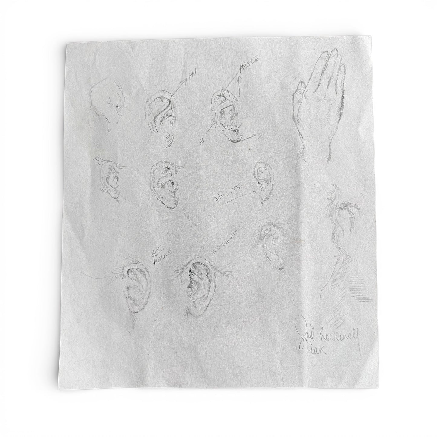 1950/60s An Ear Study - Gail Sudler Rockwell a study of ears on a white background