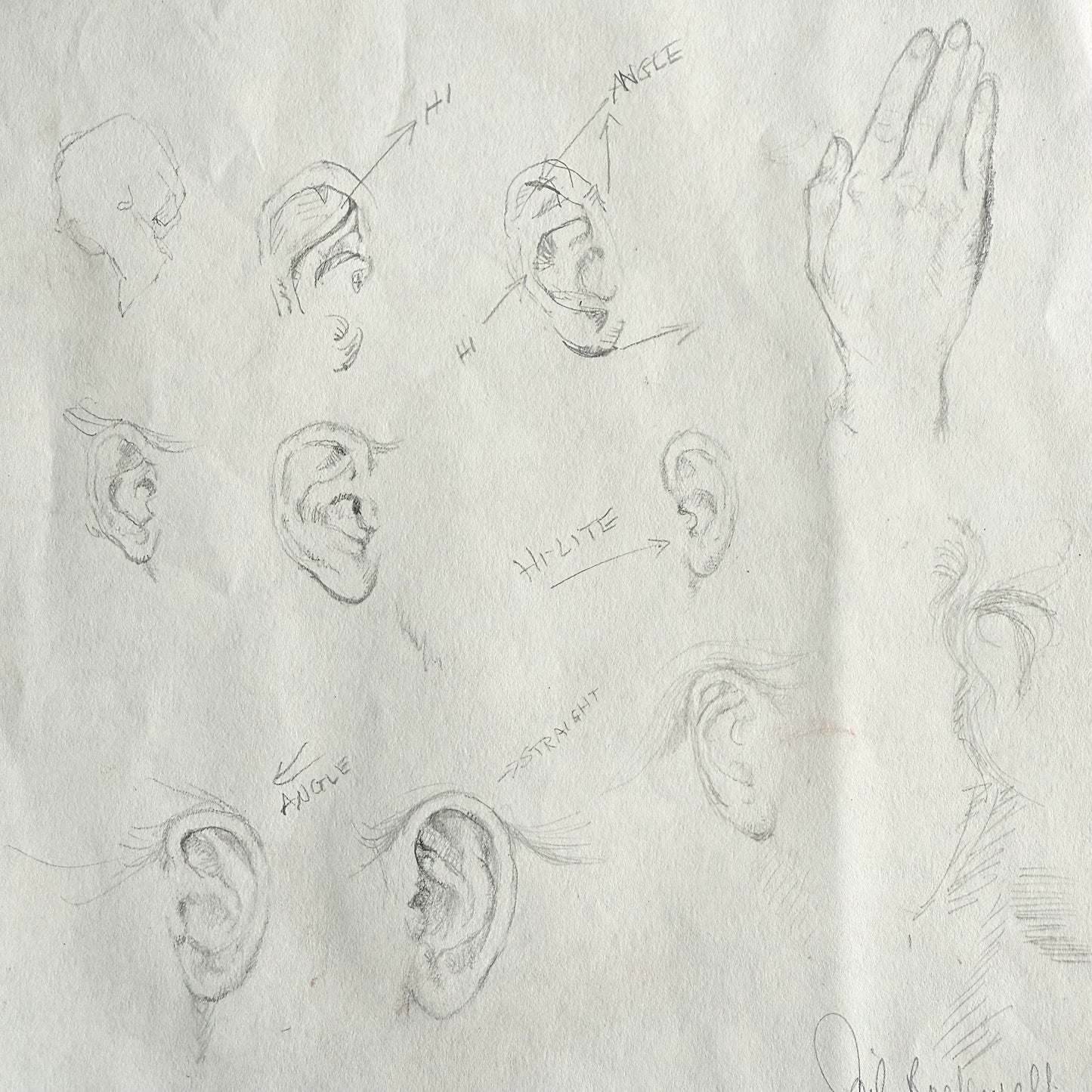 1950/60s An Ear Study - Gail Sudler Rockwell Pencil sketches of various angles of ears on a textured white background.
