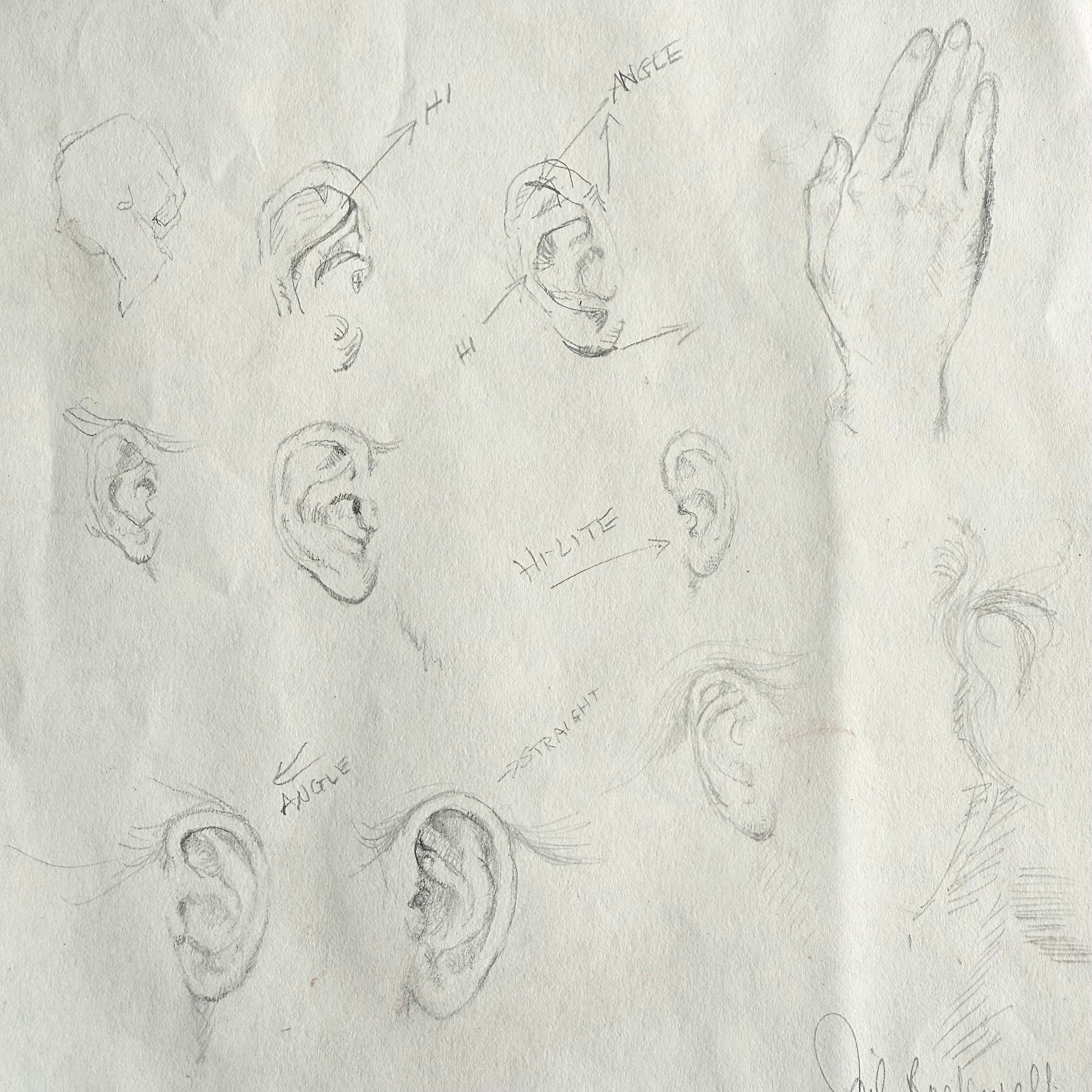 1950/60s An Ear Study - Gail Sudler Rockwell Pencil sketches of various angles of ears on a textured white background.