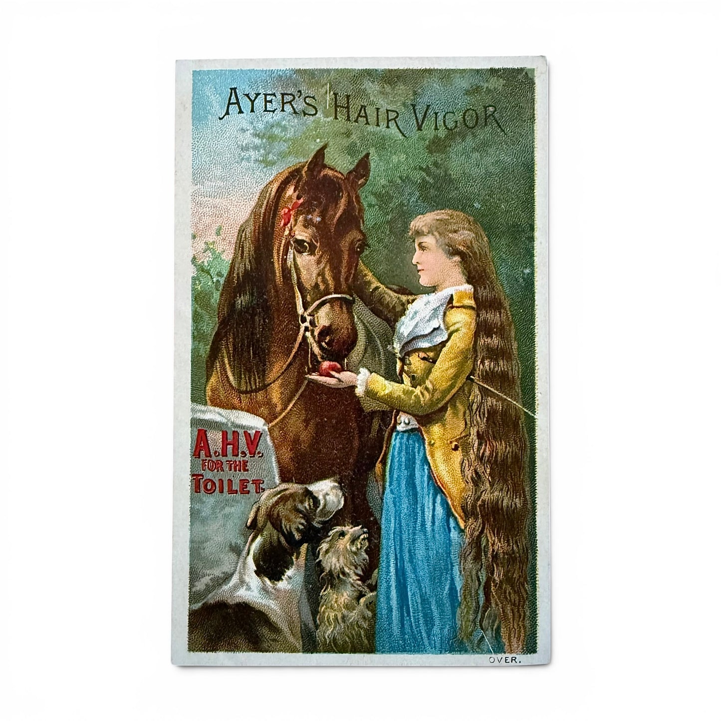 Ayer's Hair Vigor - Victorian Trade Card advertisement for Ayer's Hair Vigor featuring a woman with a horse and dogs.