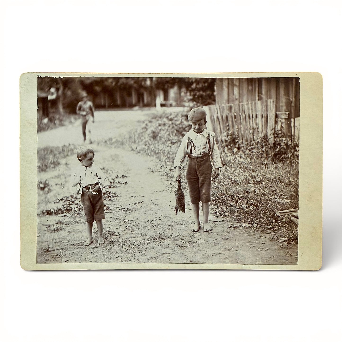 Caught A New Pet - Cabinet Card Vintage black and white photo of two children walking on a dirt path with a fence and trees in the background. one kid has caught a squirrel.