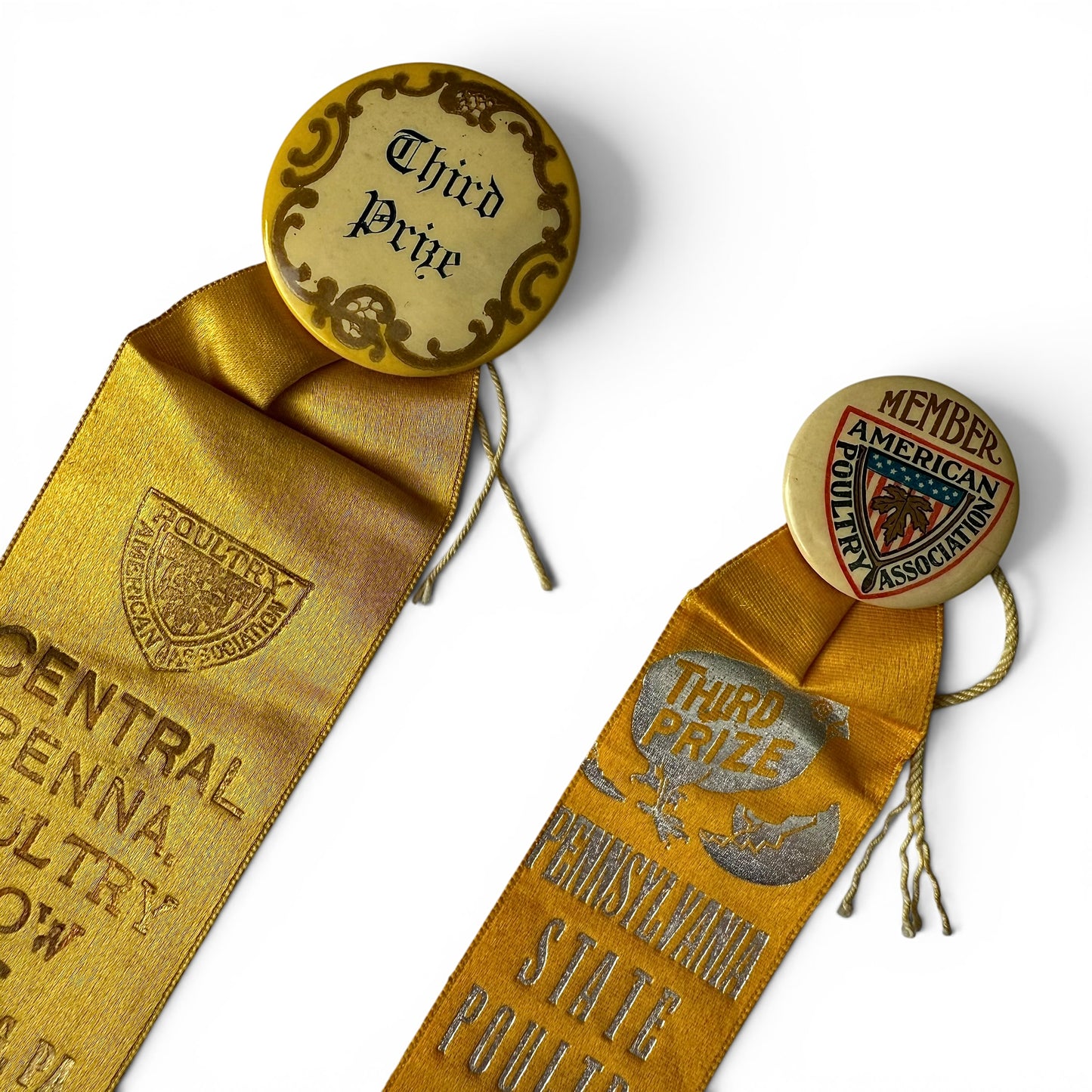 Pair of Poultry Show Award Ribbons 1912-1914 Two gold ribbons with pins on a white background