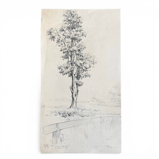 The Lonely Locust, Bronx NY 1919 Pencil drawing of a tree with a landscape background